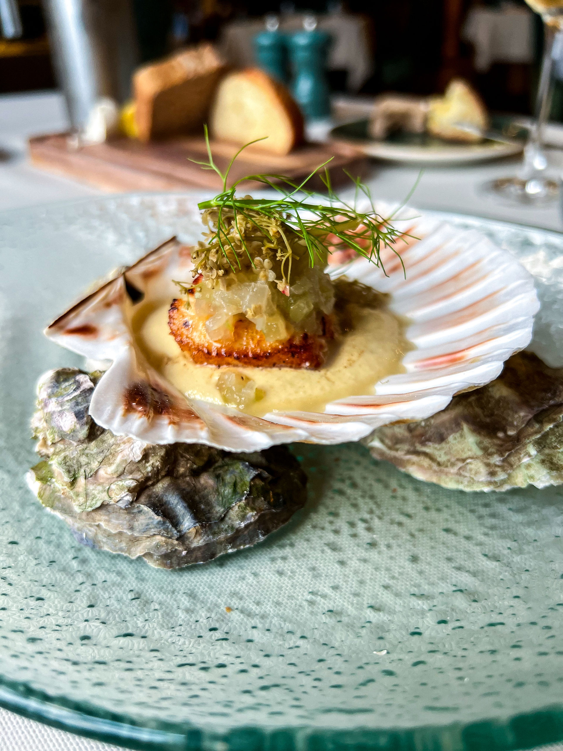 scallop served on a seashell 