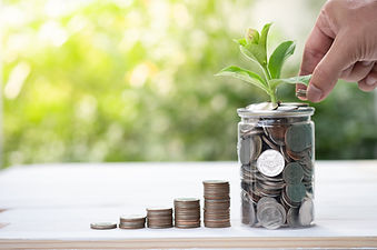 close-up-hand-putting-coin-into-jar-with-sapling-table.jpg