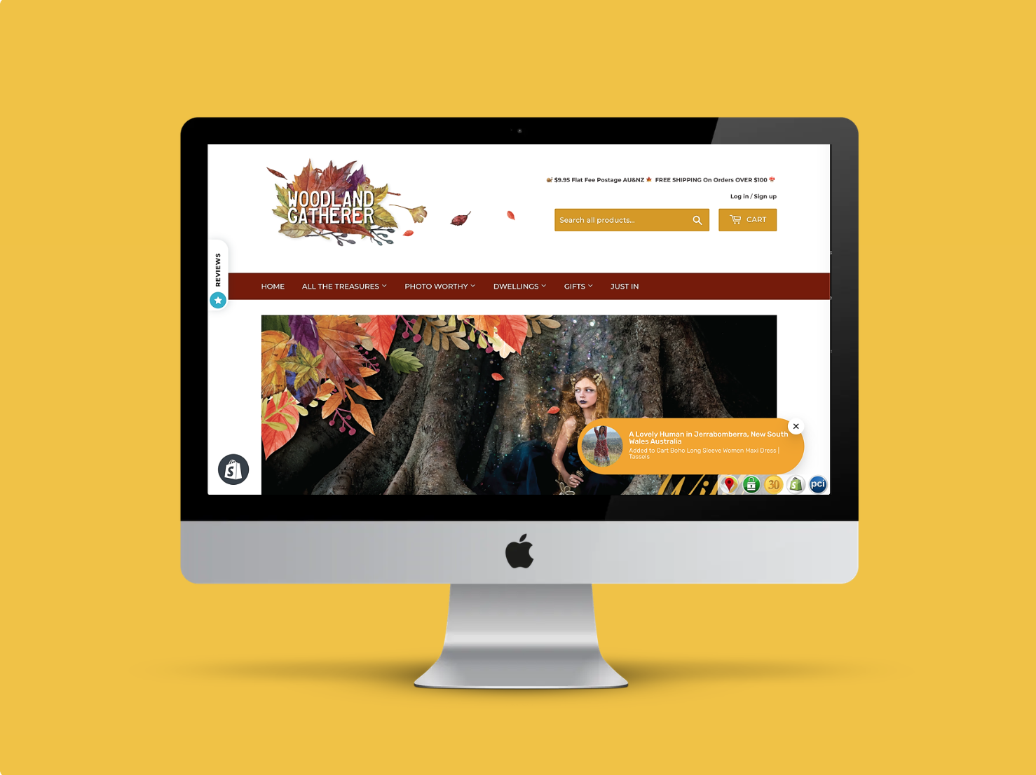 Shopify Web Design