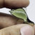 Thumbnail: Moldavite Dolphin Carving 15.30 ct