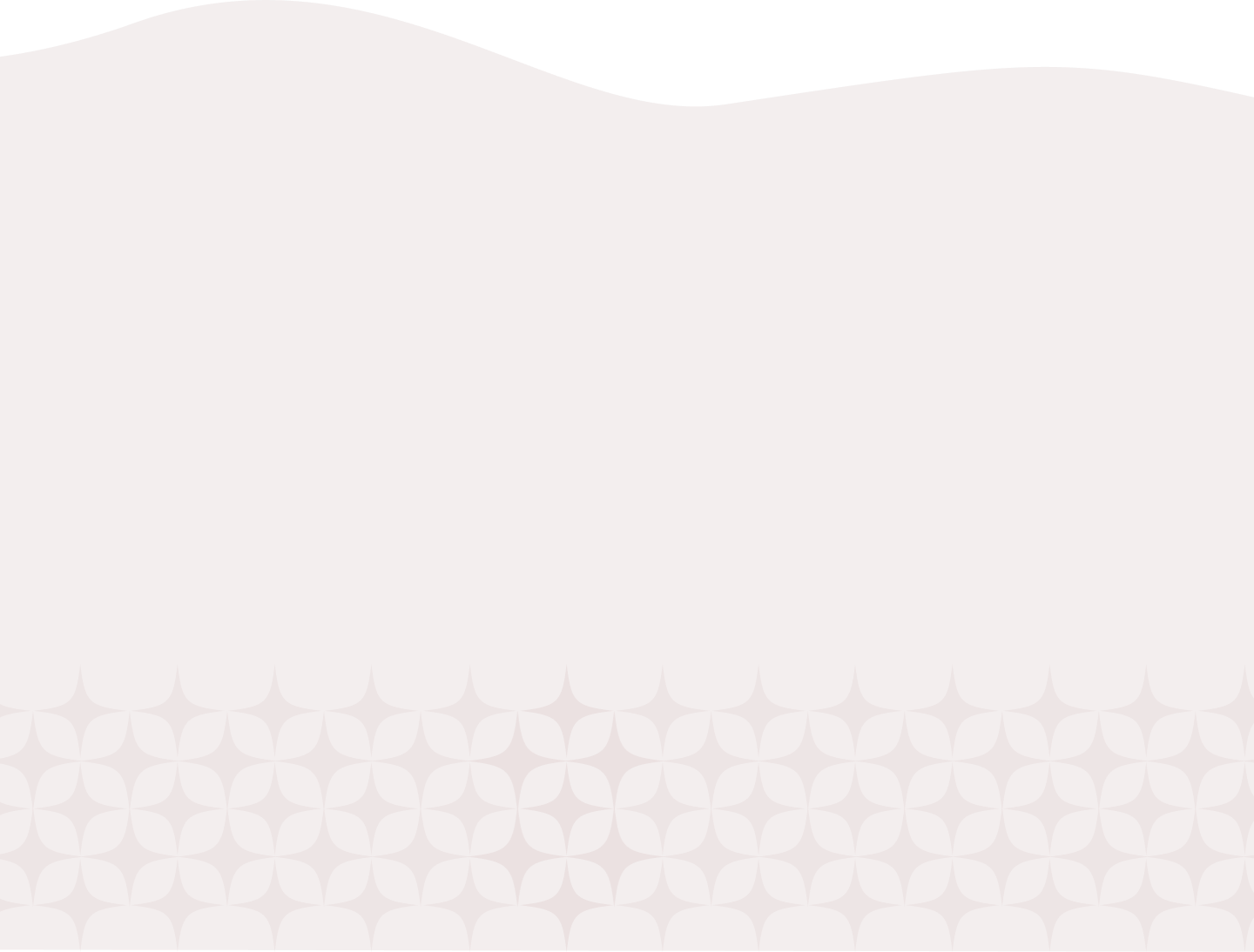 home-contact-brackground.webp