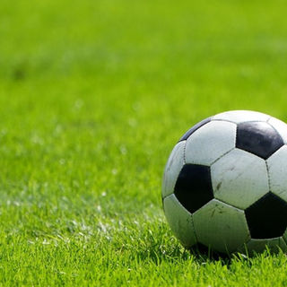 Why Beneficial Nematodes Are Gaining Ground in Soccer Field Management