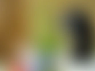 Exciting Announcement! Cockapoo Litter Coming!