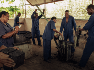 How to Choose the Right Carbon Offset Project