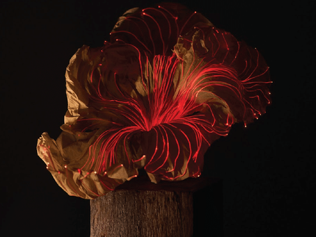 Oorjaa Introduces Coral Echoes, a Table Lamp Informed by Marine Forms