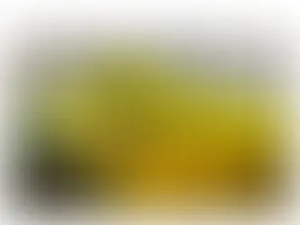 A Material Conversation at India Art Fair 2026: Sculpture and Painting in Quiet Dialogue