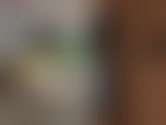 Häfele Horizon Digital Lock: What the Evolve Range Brings to the Front Door