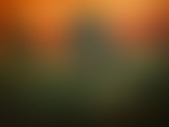 Gallery Dotwalk Opens New Delhi Space with Immersive Multi-Sensory Exhibition