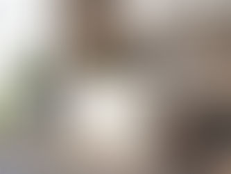 Hafele Valeriya Dishwasher: The New Standard in Kitchen Hygiene