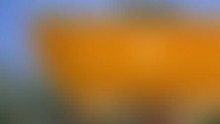 The Shuttle: Archohm Designs a Badminton Academy Shaped Like a Shuttlecock in Bhubaneswar