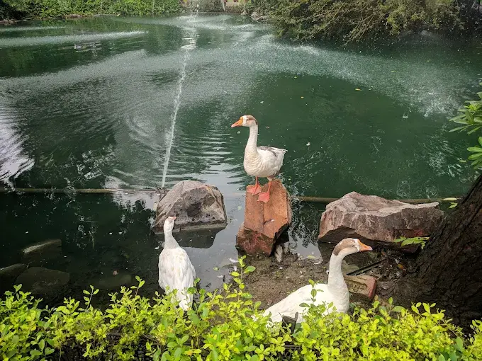 Photo Courtesy: Resort Country Club