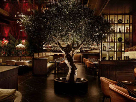 Where Nikkei Meets New Delhi: A Quiet Culinary Revolution at Hikki