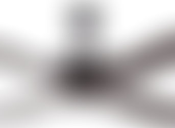 Anemos Summer Edit in Gold, Bronze and Refined Design