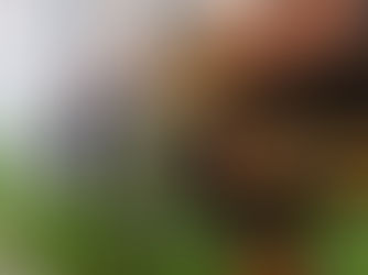 Bira 91 Taproom makes eating out more fun with its fresh global food and inventive cocktails. 