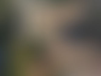 Revolutionizing Construction: The Impact of Drone-Based 3D Mapping