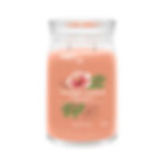 Grande Jarre Tropical Breeze / Brise Tropical Yankee Candle