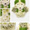 Thumbnail: Little Bear