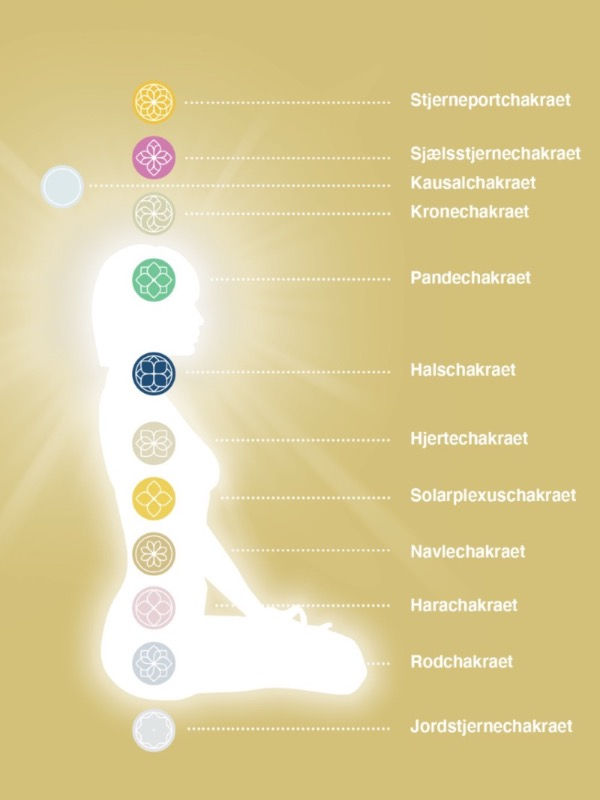 Miniaturebillede: Bog: De 12 chakraer
