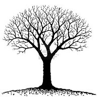 mtpeacecemeteryassociation.org Favicon