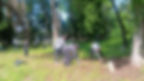 Eye-level view of a well-maintained cemetery pathway lined with trimmed bushes