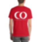 Thumbnail: T-shirt (More Colors Available)