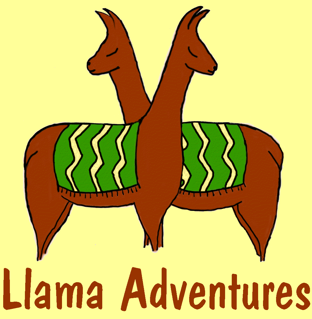 LLAMA ADVENTURES