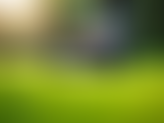 Top Benefits of Professional Mowing Services Near Me