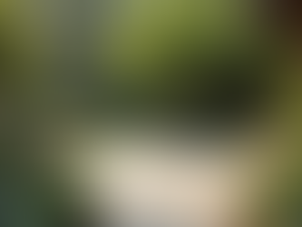 Transform Your Property with Creative Landscape Design Solutions