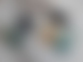 POLÍCIA MILITAR DE JEQUITINHONHA-MG PRENDEU UM HOMEM TRAFICANDO DROGAS