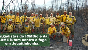 Brigadistas do ICMBio e da ABME lutam contra o fogo em Jequitinhonha.