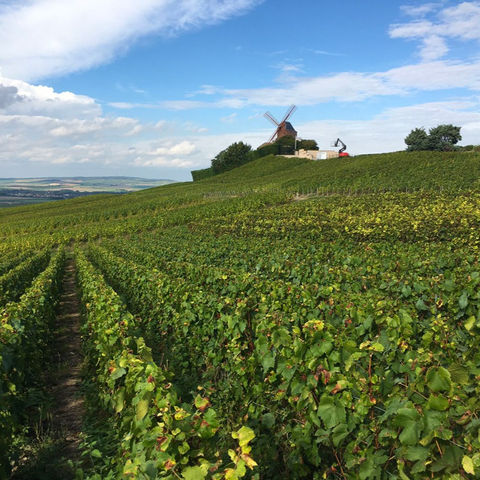 5x waarom de Franse Champagneregio fantastisch is