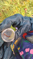 Children exploring nature at Wellness Woodlands