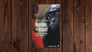 Bonobo ve Ateist