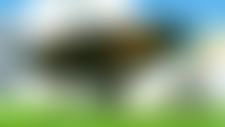 Çocuk ve Balıkçıl’ın Sembolizmi