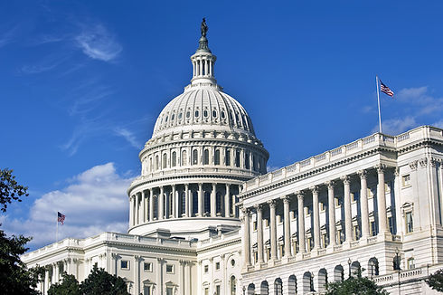 Indstries-Federal Givernment.jpeg