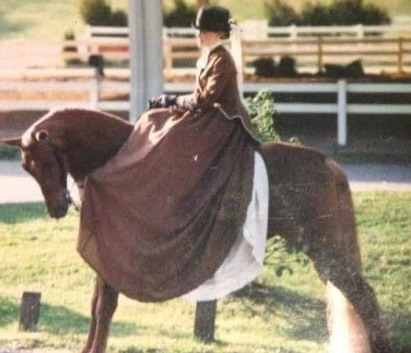 Lady on horseback exploring stories from children's book collection adventures