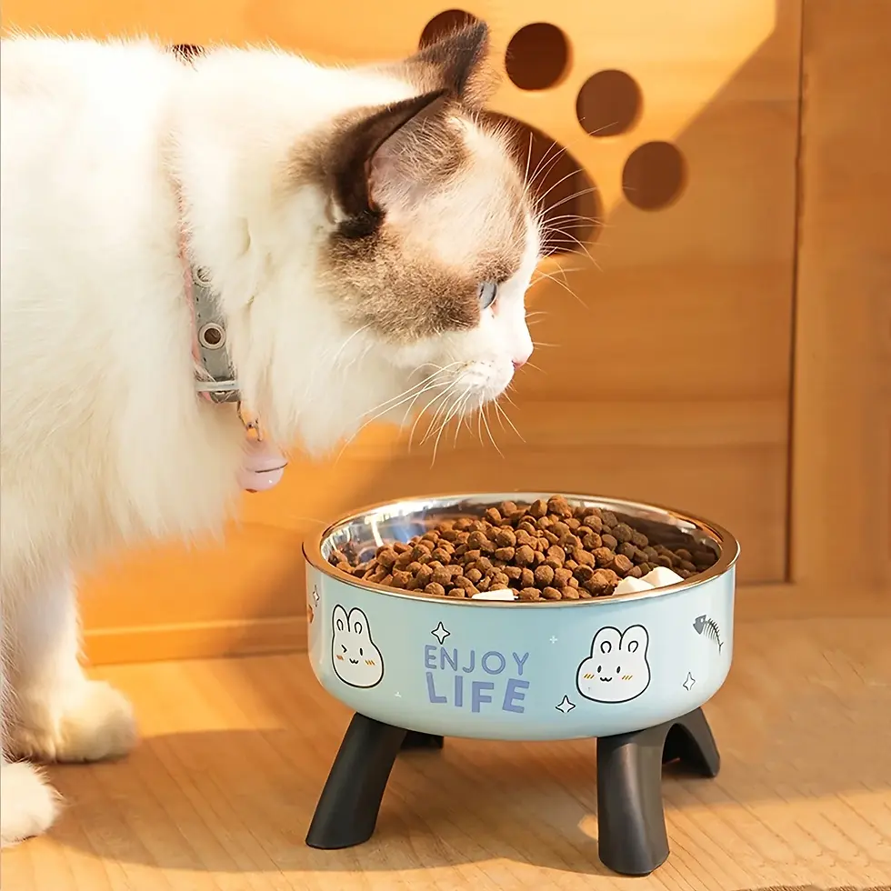 Thumbnail: Stainless Steel Pet Bowl – Anti-Tip Elevated Design with Non-Slip Silicone Bas