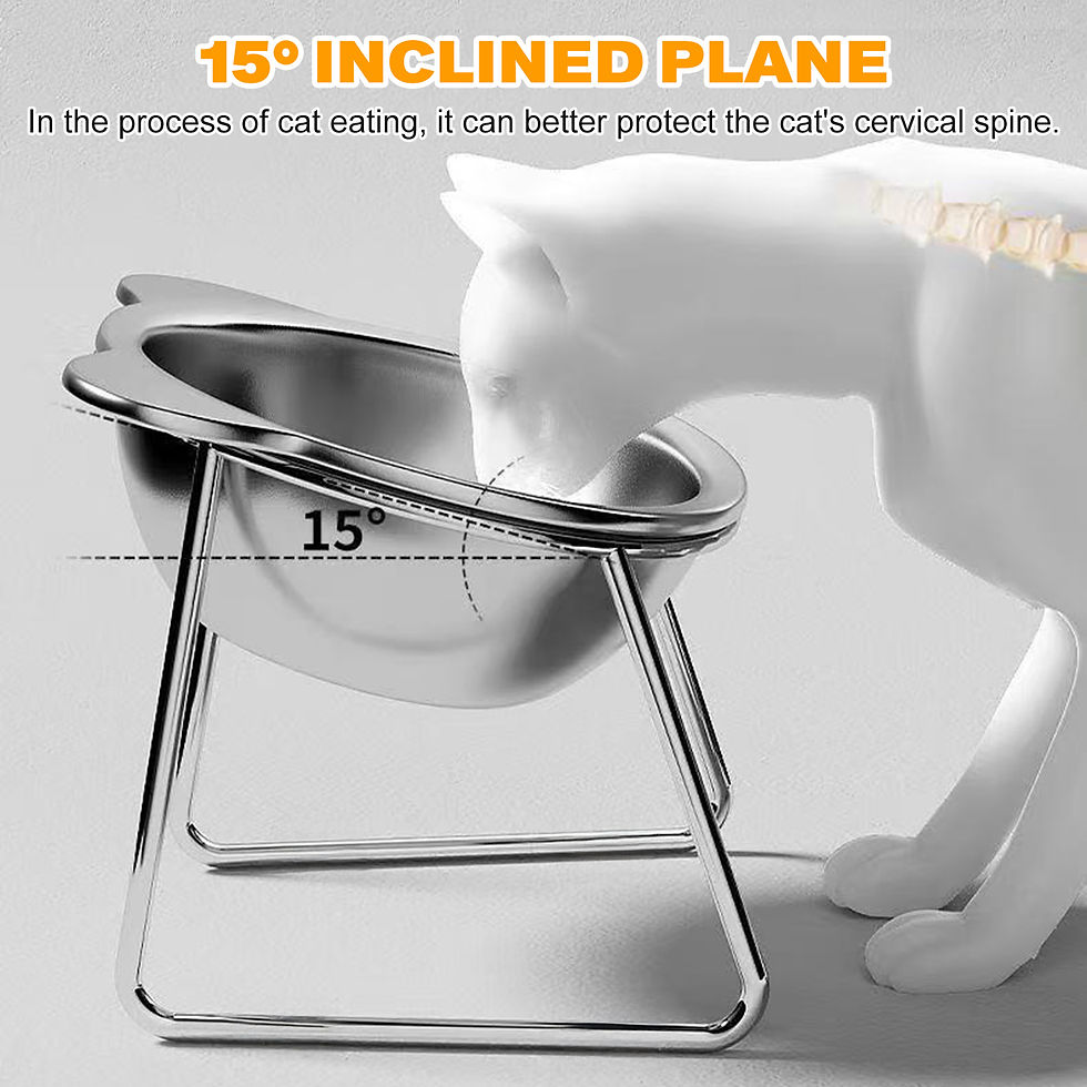 Thumbnail: Stainless Steel Pet Bowl Slanted Anti Cervical Spondylosis for Cats and Dogs Dua