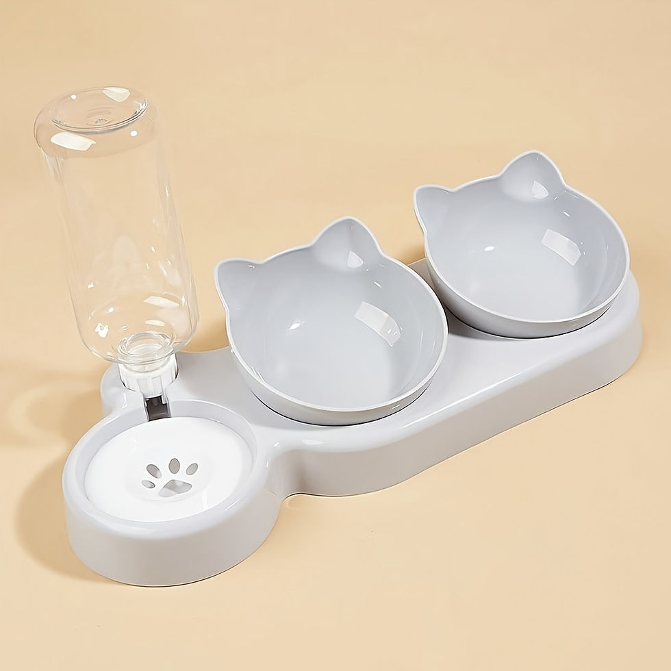 Thumbnail: Pet Bowls With Water Feeder, 3 In 1 Ear Design Tilted Cat Water And Food Bowl Se