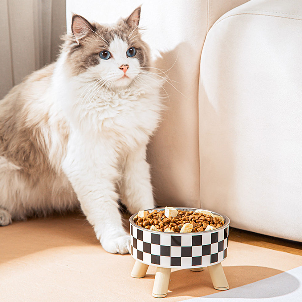 Thumbnail: Pet cat and dog bowl polka-dot plaid stainless steel anti-slip easy to clean ind