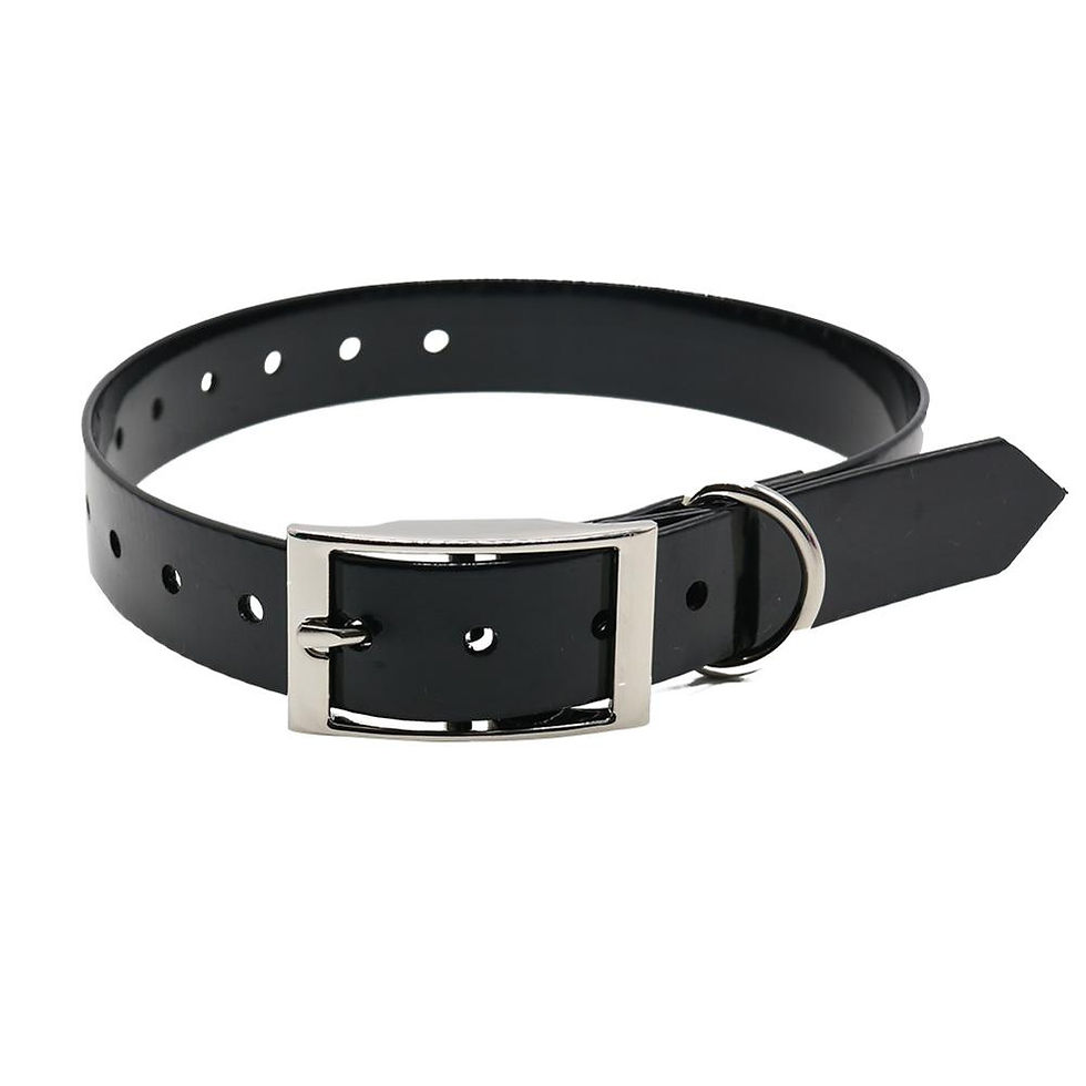 Thumbnail: New Fashion Pet Dog Collar High Quality TPU + Nylon Waterproof Deodorant Resista