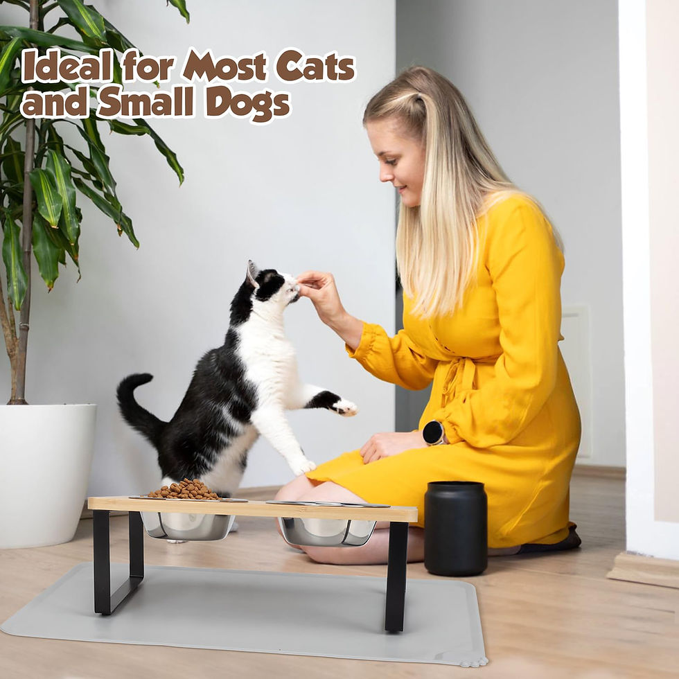 Thumbnail: Elevated Cat Bowls Pet Feeder 15° Tilted Raised Cat Food Bowls with Wooden Stan