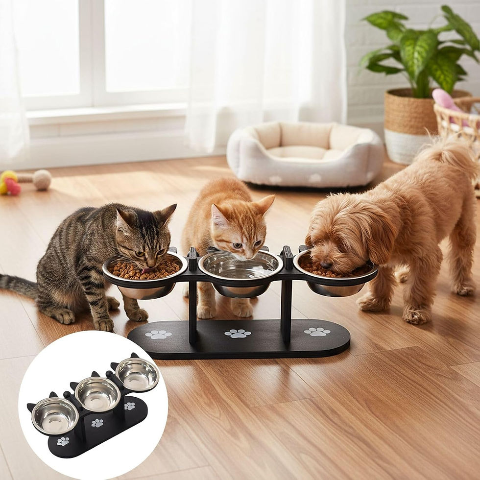 Thumbnail: Elevated Cat Food Bowl with Black Wooden Support Frame Stainless Steel Cats Bowl
