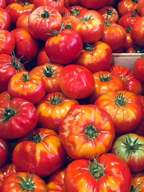 tomatoes.JPG