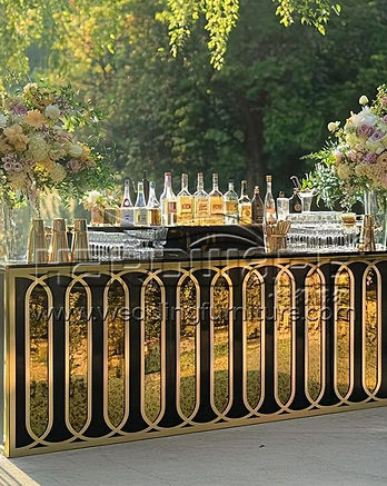 Outdoor Bar Counter Table Large Design For Party.jpg