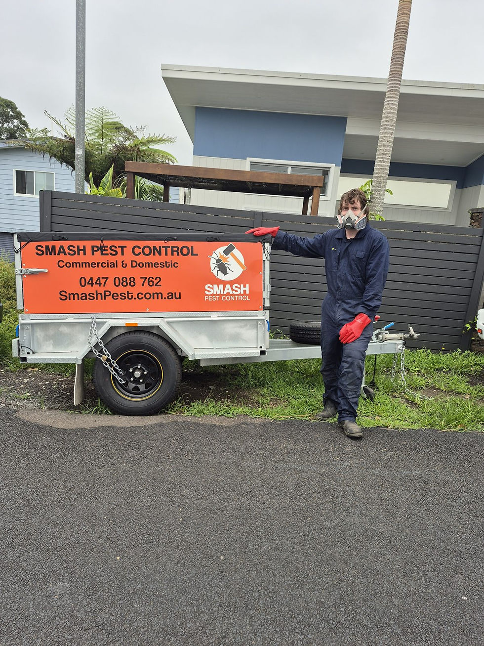 Smash Pest Control technician with trailer - Terrigal - Smash Pest Control