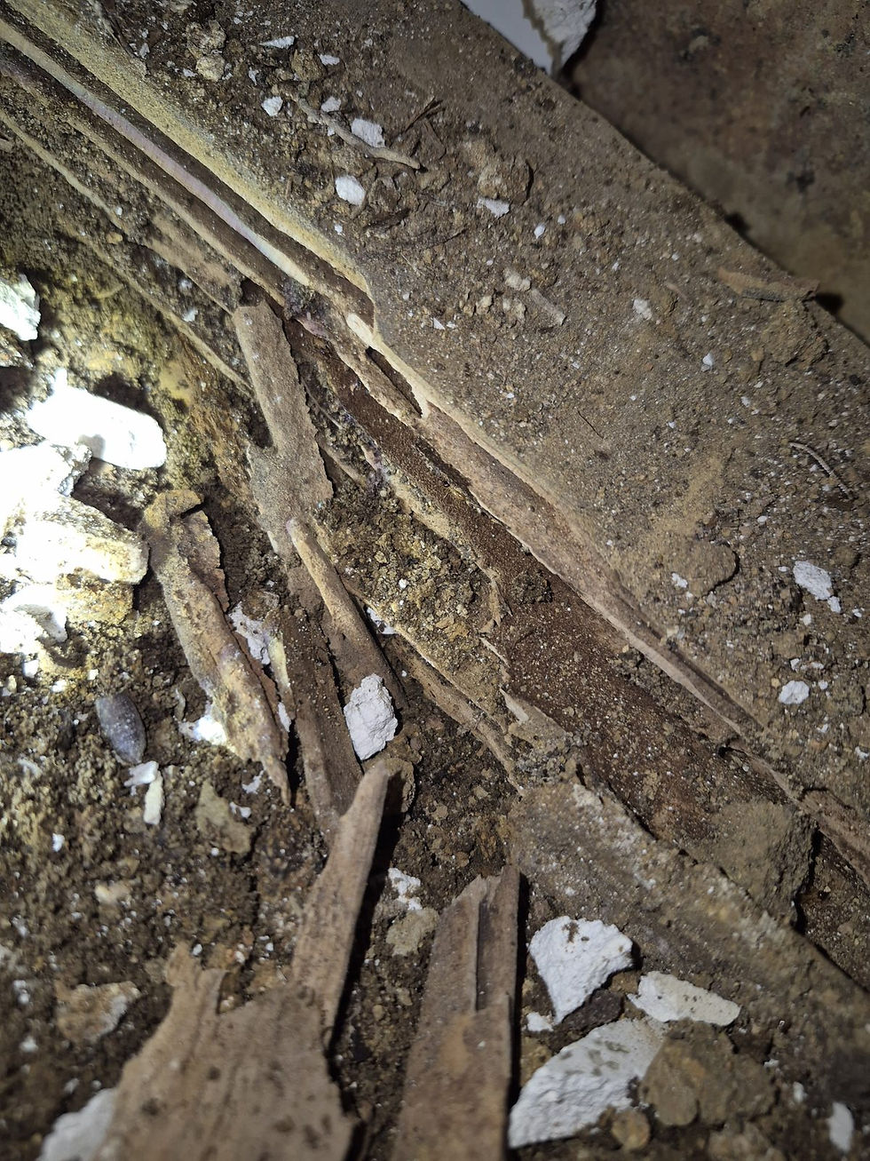 Termite workings in subfloor timber - Central Coast - Smash Pest Control