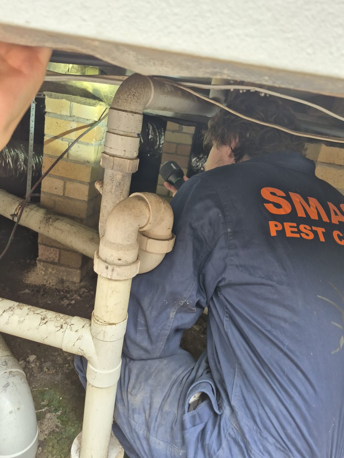 Pest control technician subfloor inspection - Central Coast - Smash Pest Control