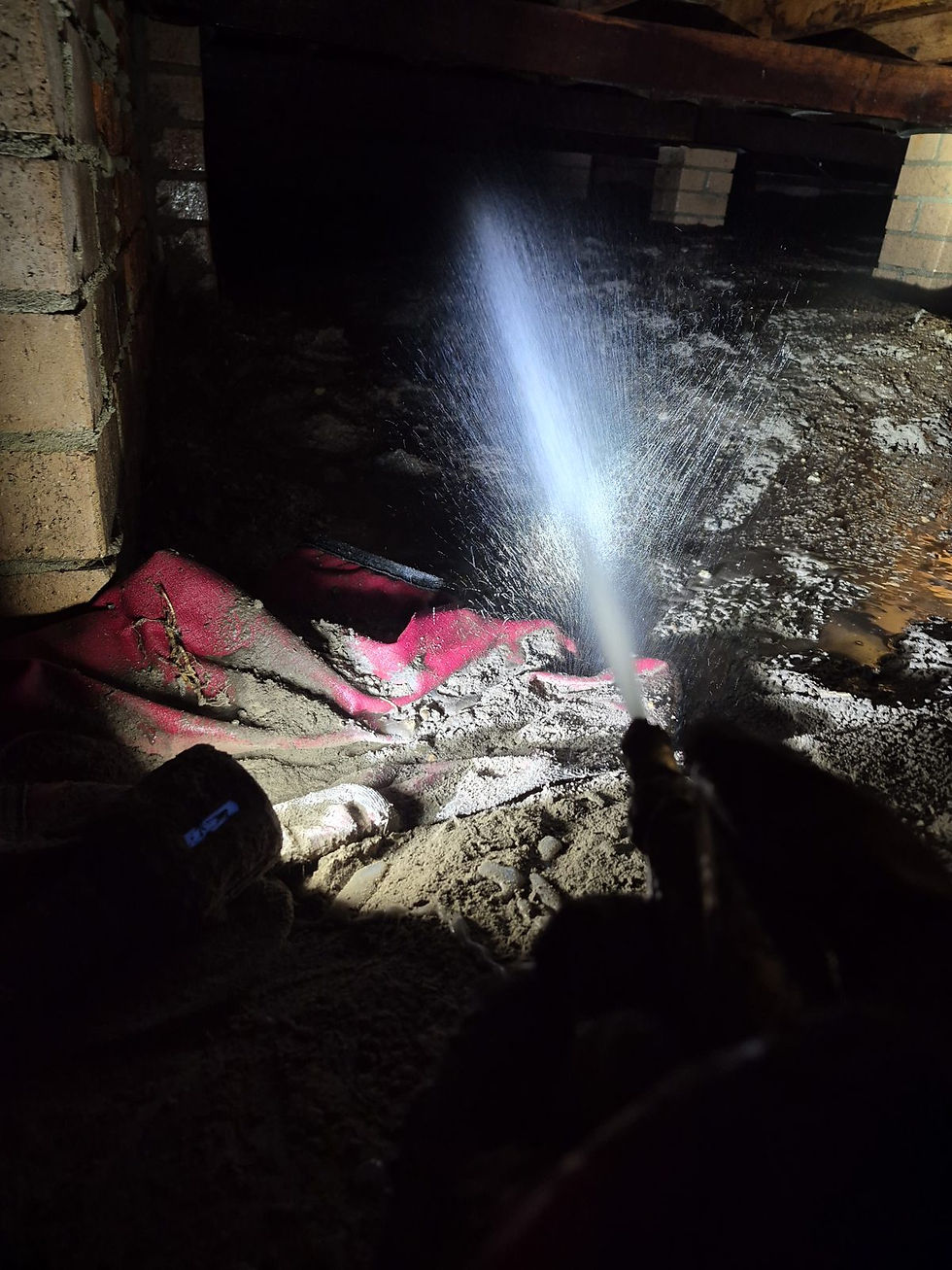 Termite inspection with torch in subfloor - NSW - Smash Pest Control