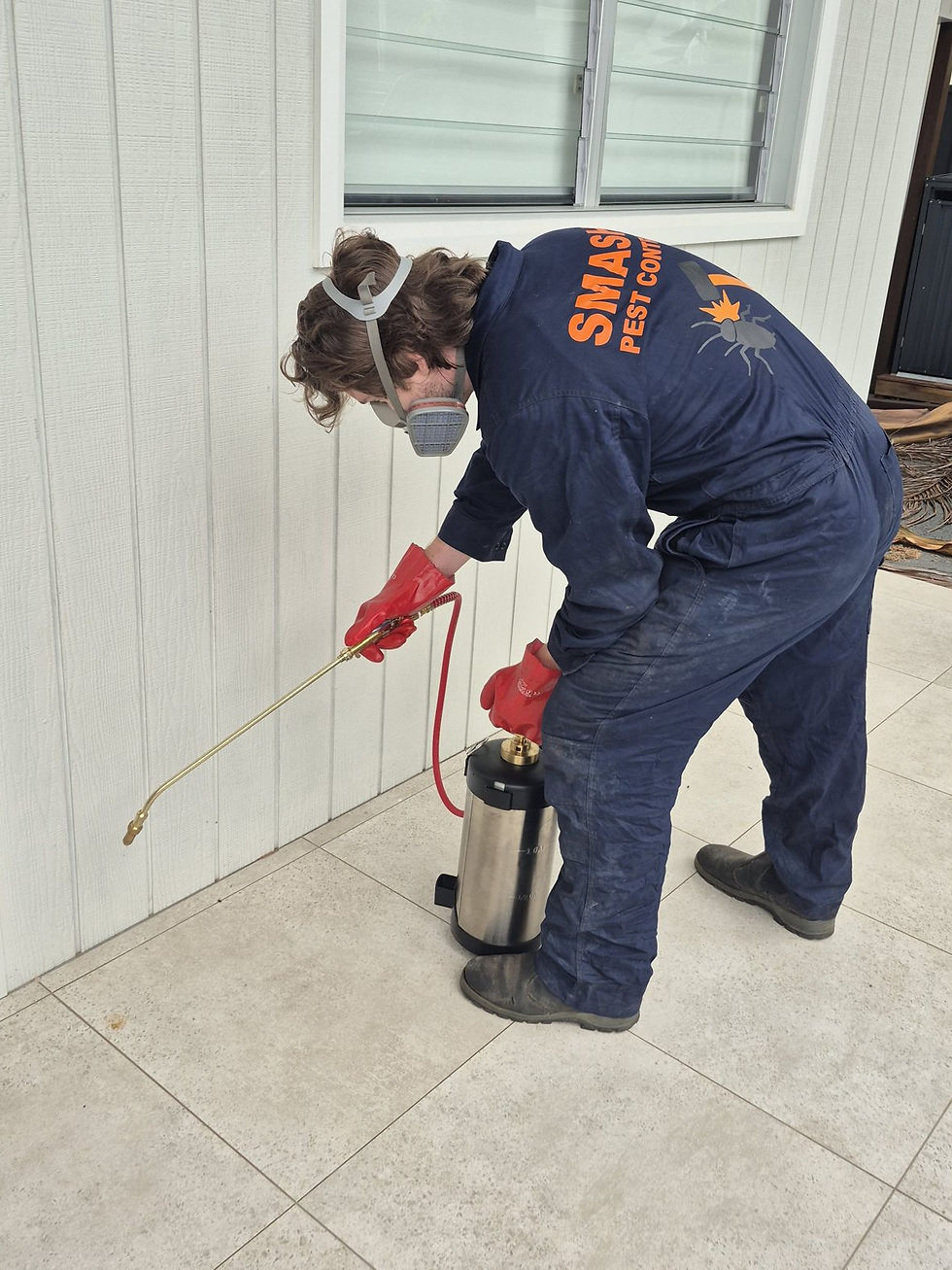 General pest spray treatment technician - Gosford - Smash Pest Control